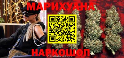 эйфоретик Ачхой-Мартан