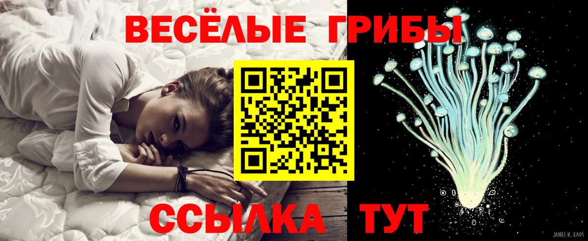 как найти закладки  Псилоцибиновые грибы GOLDEN TEACHER  Вход с VPN  Галлюциногенные грибы Cubensis  Аша 