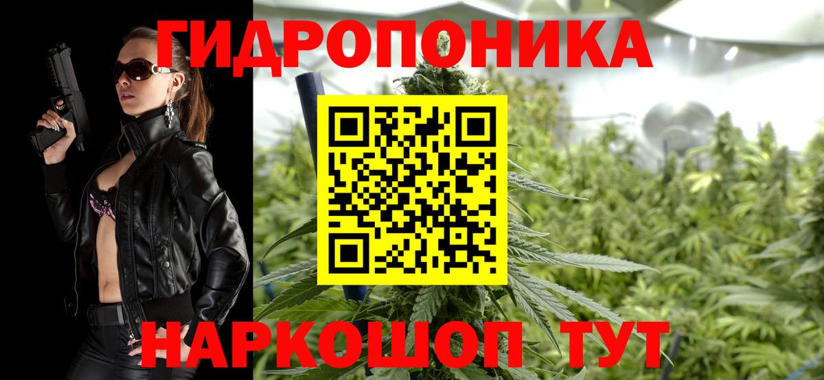 ЭКСТАЗИ Аша